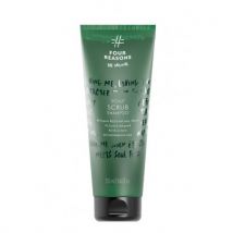 Four Reasons Scalp Scrub Shampoo 250ml