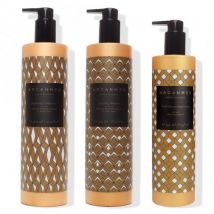 Arganmer Ultimate Moisture-Lock Styling Set