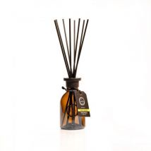 Lumen 19.61 Herbalist Home Scent Pan Di Zenzero