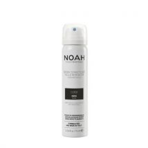 Noah Hair Root Concealer With Vitamin B5 Black