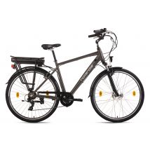 Hollandia E-Citybike Zagon 28&quot; grau