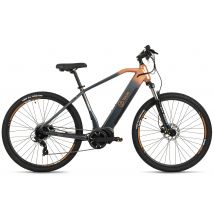 TOTEM E-MTB  Youin FJ-M 29&quot; Stahlgrau-Orange