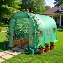 BIRCHTREE Galvanised Frame Polytunnel Greenhouse  - Green / 3M (L) x 2M (W) x 2M (H) / 25MM Gauge Steel Frame