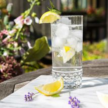 Bormioli Rocco America '20s Highball Glasses - 490ml - Clear - Pack of 24 - Clear