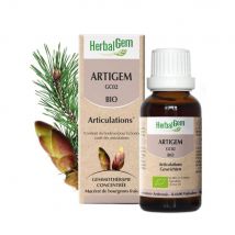 Herbalgem Bourgeons Articulations Bio Artigem 30ml - Easypara