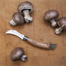 Couteau à champignons - Bois - Idée cadeau homme - Opinel - Les Raffineurs