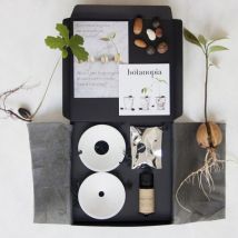 Coffret de germination - Kit germination - Idée cadeau femme - Botanopia - Les Raffineurs
