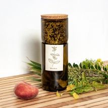 Kit Potager d'intérieur pour herbes aromatiques bio en bouteille - Vert - Idée cadeau femme - Life In A Bag - Les Raffineurs