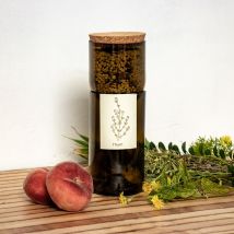 Kit Potager d'intérieur pour herbes aromatiques bio en bouteille - Idée cadeau femme - Life In A Bag - Les Raffineurs