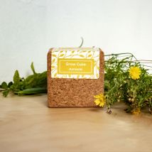 Plante bio à faire pousser - Idée cadeau femme - Life In A Bag - Les Raffineurs