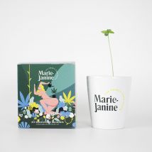 Kit chanvre à planter - Idée cadeau femme - Marie Janine - Les Raffineurs