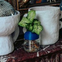Plante avec vase autonome - Wet pot - Bleu - Fabriqué en France - Idée cadeau femme - Cadeau Crémaillère - Tot - Les Raffineurs