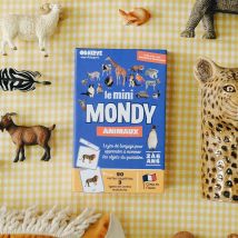 Cartes de nomenclature Montessori Mini-Mondy - Observe Montessori - Les Raffineurs