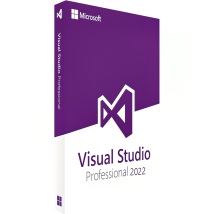 Microsoft Visual Studio 2022 Professional