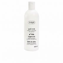 ZIAJA - Shampoing au LAIT DE CHÈVRE 400 ml
