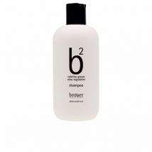 BROAER - B2 CABELLOS GRASOS shampoo 250 ml