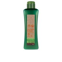 SALERM - BIOKERA NATURA treated hair shampoo 300 ml