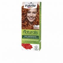 PALETTE - PALETTE NATURAL tinte 8.77-cobrizo intenso 1 u