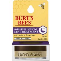 Burt's Bees Overnight Lip Treatment 5 g