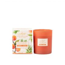 L'Ocrillon Scented Candle Apricot &amp; Rosemary 180 g