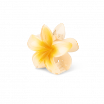 Sui Ava Plumeria Hawaii Big Light Yellow 1 pcs