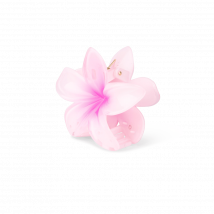 Sui Ava Plumeria Hawaii Big Pink 1 pcs