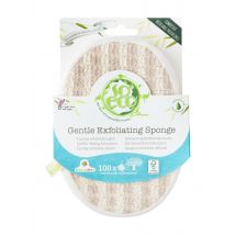 So Eco Gentle Exfoliating Sponge 1 st