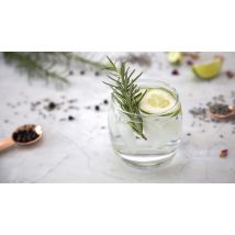 Gin Tasting Bonn