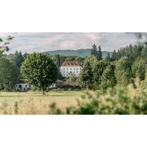 Romantikurlaub im Schloss Ernegg für 2 (2 Nächte)