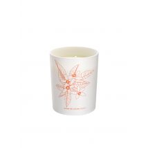 Cinq Mondes - Wellness geurkaars (rituel de l'atlas) - 180g Maat