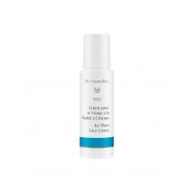 Dr. Hauschka - Gezichtscrème met ijskruid - 40ml Maat