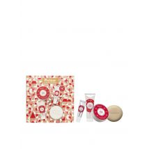 Polaar - Luxe set 'la véritable crème de laponie' - 4 verzorgingsproducten met bessen uit het noordpoolgebied - 85 Maat