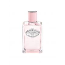 Prada - Infusion de rose - eau de parfum - 100ml Maat