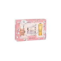 Qiriness - Boite à caresse active énergie - Uml Maat