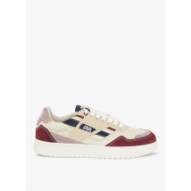 Caval - Baskets basses imprimées en cuir - Taille 36 - Beige