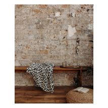Debongout - Le plaid léopard - Taille 170x130 - Noir