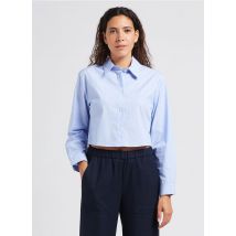 Pablo - Korte - gestreepte - katoenen blouse met klassieke kraag - 42 Maat - Blauw
