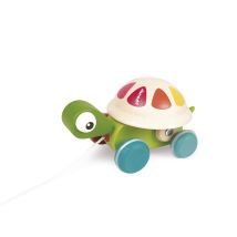 Tortue À Promener Zigolos