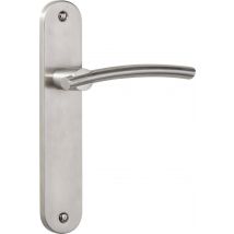 Poignée De Porte Sur Plaque Grise Entraxe 195 Mm À Condamnation Flavy X2 - Chainey