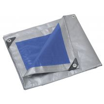 Bache Ultra Lourde 250 Gr/32 L.10 X L.15 M - Ribimex