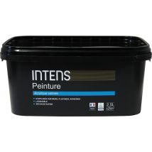 Peinture Intérieure Murs Et Plafonds Acrylique Satin Blanc 2,5 L - Intens