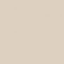 Carrelage Beige Uni L.30 X L.30 Cm Oumi