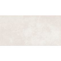 Faience 20x40 Tokyo Blanc 1.60m²