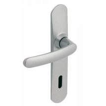 Ensemble Poignées De Porte Sur Plaque Entraxe 195 Mm Slim Chrome Satin Clé L - Vachette - Tecnomat