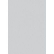 Voile De Verre Pré-peinte 200g/m² L.1 X L.25 M G50 Pc - Tassoglas