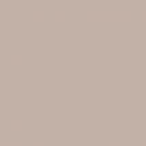 Peinture Intérieure Mat Beige Zéla Teintée En Machine 10l Hpo - Mosaik