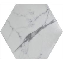 Carrelage Sol Intérieur Effet Marbre L.20x L.24cm - Statuarietto White - Tecnomat