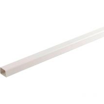 Goulotte Climatisation 80x60 Mm L 2 M