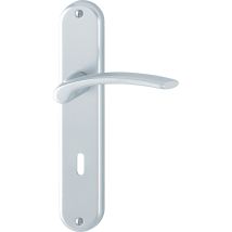 Poignée De Porte Sur Plaque Grise Entraxe 195 Mm Clé En En L Ibiza X2 - Chainey