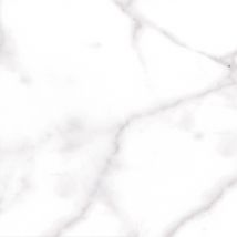 Carrelage Intérieur Blanc Effet Marbre L.60,5 X L.60,5 Cm Palatina